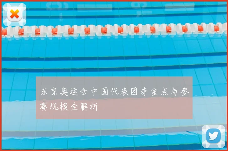 东京奥运会中国代表团夺金点与参赛规模全解析